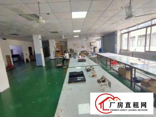  出租|观澜福民龙观快线旁900平方厂房出租大小可分租