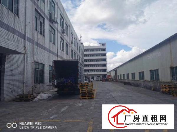  观澜福民原房东一楼标准厂房2400平出租