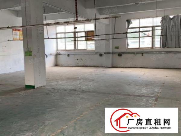  观澜新田楼上300平，带办公室，格局方正，价格实惠，面积实在