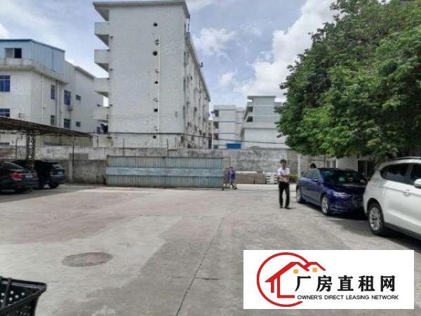  观澜新田楼上300平，带办公室，格局方正，价格实惠，面积实在