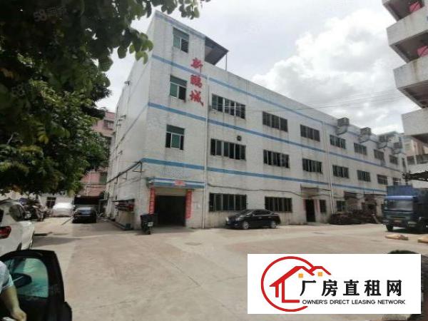  观澜新田楼上300平，带办公室，格局方正，价格实惠，面积实在