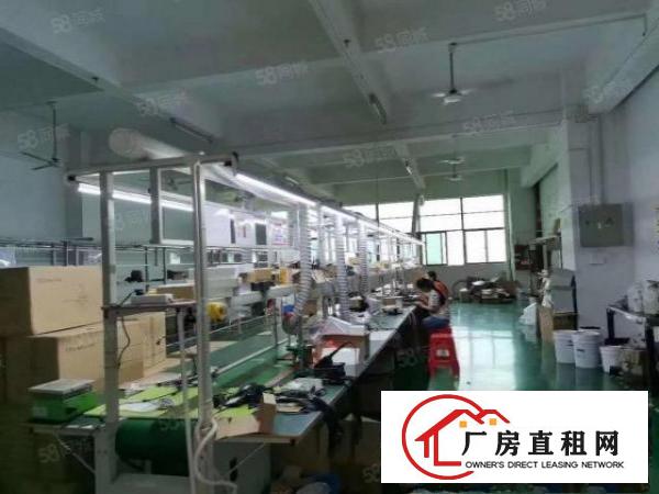  观澜福民楼上1000平，无转让费带豪华精装修办公室前台车间。