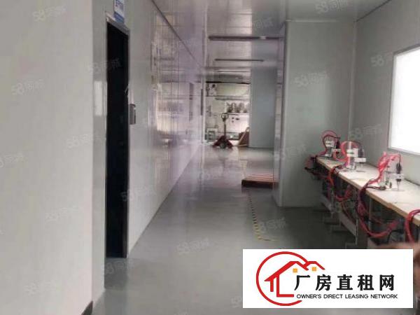  观澜福民，豪华精装修带无尘车间面积1850平，公摊小水电现成