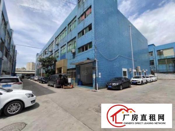  观澜福民新出楼上豪华装修厂房1233平，园区空地大，面积实在