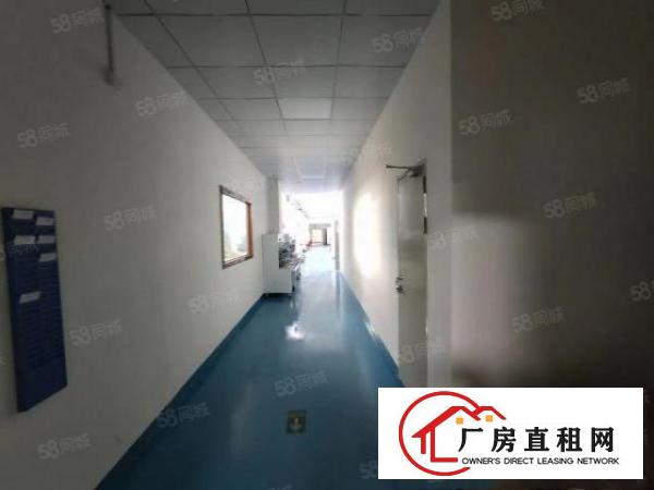  观澜福民新出楼上豪华装修厂房1233平，园区空地大，面积实在