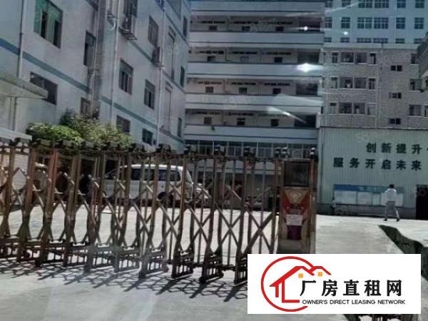  观澜社保局对面泗黎路润塘工业区新出2楼200平方，厂房出租