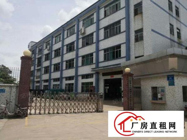  观澜新田新出带装修厂房1680平方