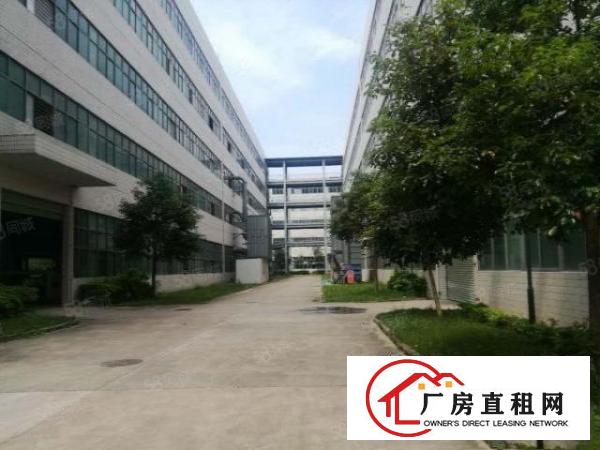  龙华观澜桂花小学附近新出28600平米独院厂房招租