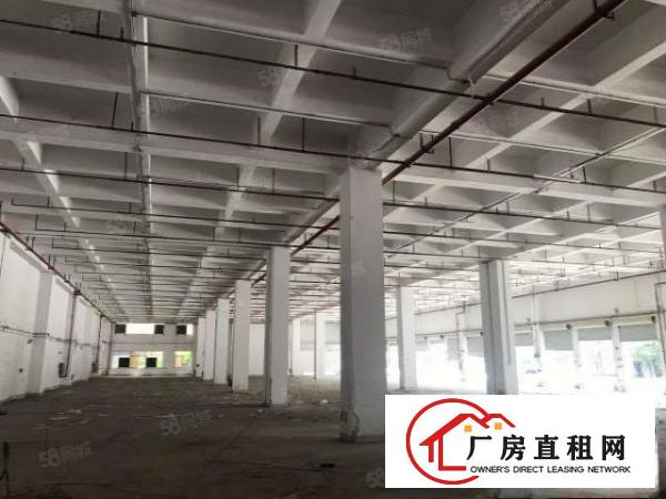  龙华观澜桂花小学附近新出28600平米独院厂房招租