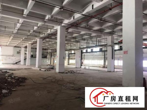 龙华观澜桂花小学附近新出28600平米独院厂房招租
