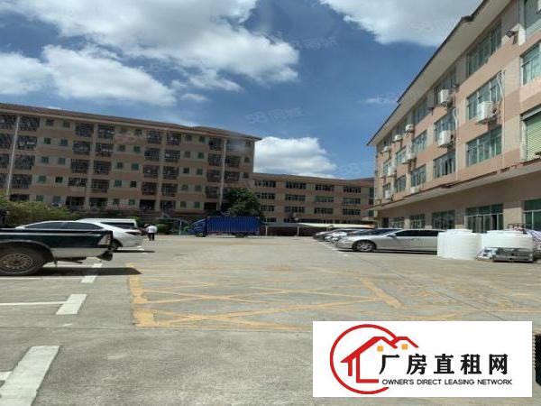  观澜牛湖楼上550平，带精装修办公室全新吊顶全新地坪漆。