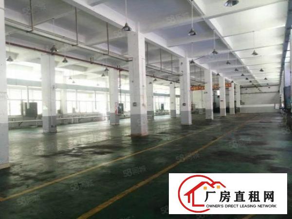  观澜桂花新出6米高1900平方一楼带精装厂房出租可分租