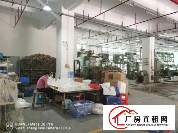  梅观高速口工业园2500首层6米高300平分租整租