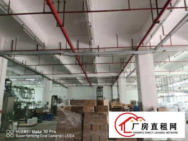  梅观高速口工业园2500首层6米高300平分租整租