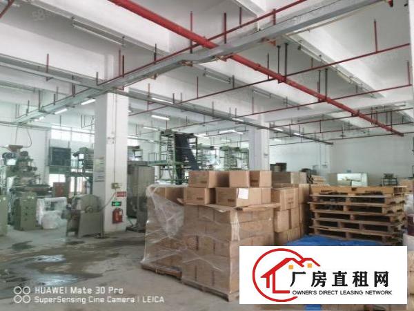  梅观高速口工业园2500首层6米高300平分租整租