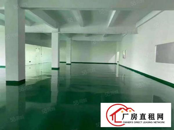  龙华区观澜新田附近880平全新装修厂房出租