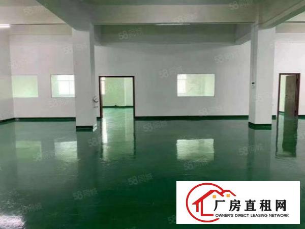  龙华区观澜新田附近880平全新装修厂房出租