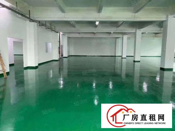  龙华区观澜新田附近880平全新装修厂房出租