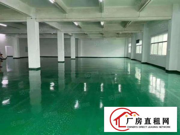  龙华区观澜新田附近880平全新装修厂房出租