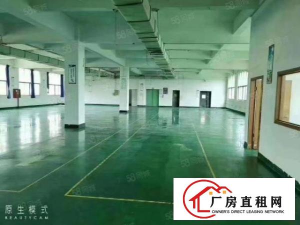  龙华观澜主干道旁一楼1400平精装修厂房出租水电齐全