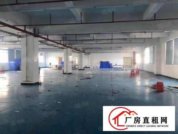  龙华观澜楼上500平标准厂房出租