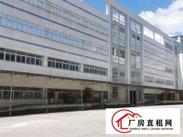  龙华观澜楼上500平标准厂房出租