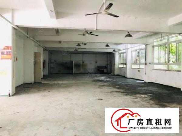  观澜福前路一楼厂房出租500平方带办公室