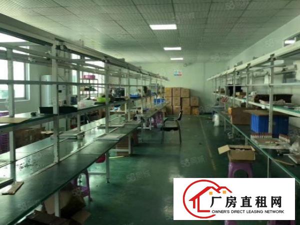  出租丨福民龙观快速旁新出楼上2000平方带精装修标准厂房！