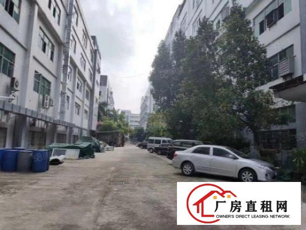  出租丨福民龙观快速旁新出楼上2000平方带精装修标准厂房！