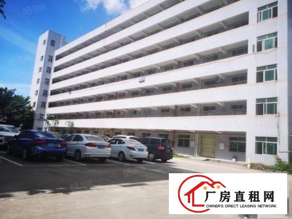  观澜大富工业区主干道边楼上2层共4000平方厂房出租可分租