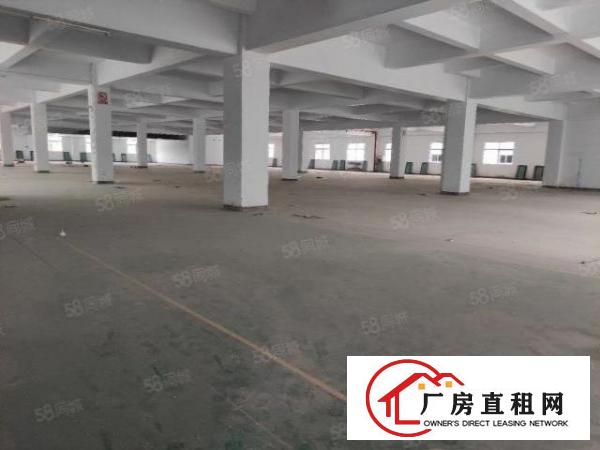  观澜大富工业区主干道边楼上2层共4000平方厂房出租可分租