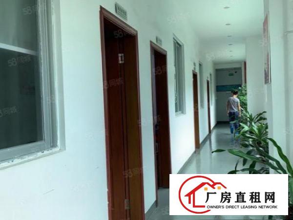  观澜章阁.2楼2400平.大小分租.豪华装修办公室前台