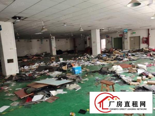  新田原房东三楼1100平方，厂房出租，带装修水电齐全