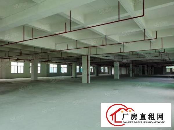  观澜福民龙观快线旁原房东独院厂房二楼整层2400平方实际面积