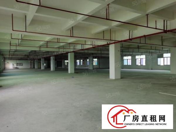  观澜福民龙观快线旁原房东独院厂房二楼整层2400平方实际面积