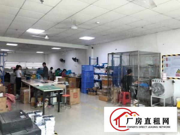  观澜高速出口花园式红本厂房整层1880平带精装修