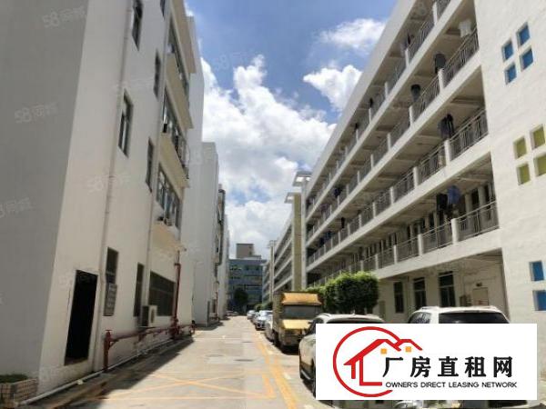  观澜高速出口花园式红本厂房整层1880平带精装修