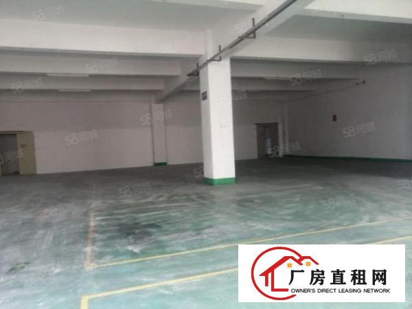  观澜桂花新出一楼540平方原房东厂房出租