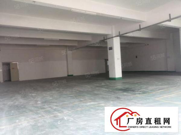  观澜桂花新出一楼540平方原房东厂房出租