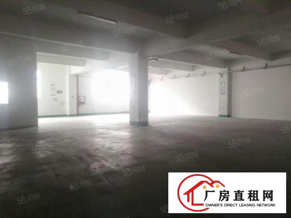  观澜桂花新出一楼540平方原房东厂房出租