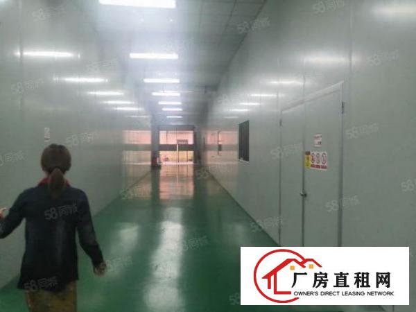  松元一楼2800平方，厂房出租，带装修