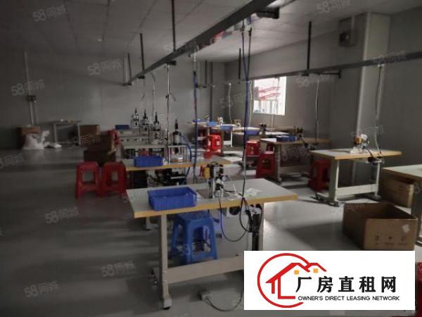  1300平楼上现成无尘车间，无需转让费，拎包入住