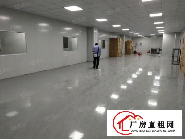 1300平楼上现成无尘车间，无需转让费，拎包入住