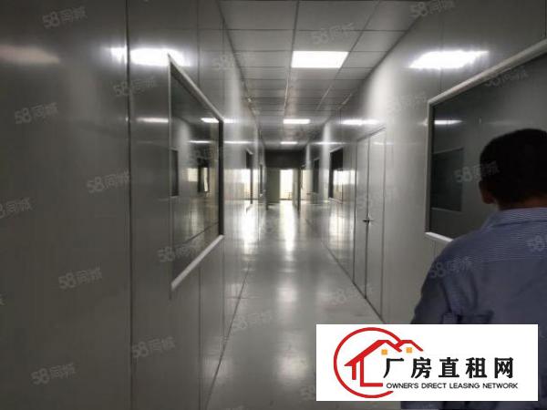  1300平楼上现成无尘车间，无需转让费，拎包入住