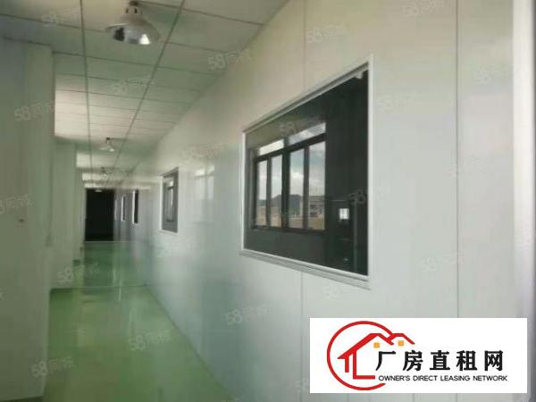  观澜新出楼上标准厂房一整层2000平10万级净化车间，