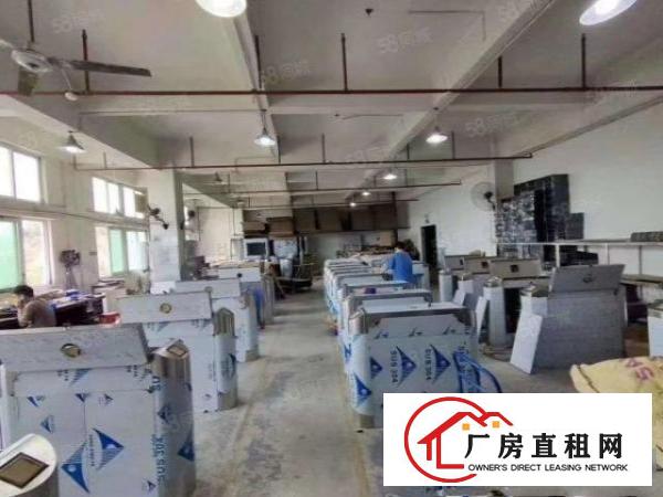  观澜章阁主干道旁新出精装修650平厂房出租零公摊