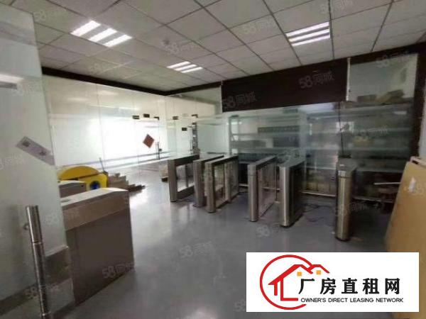  观澜章阁主干道旁新出精装修650平厂房出租零公摊