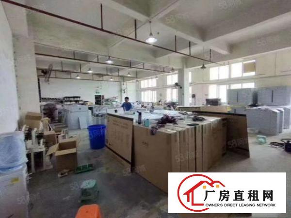  观澜章阁主干道旁新出精装修650平厂房出租零公摊
