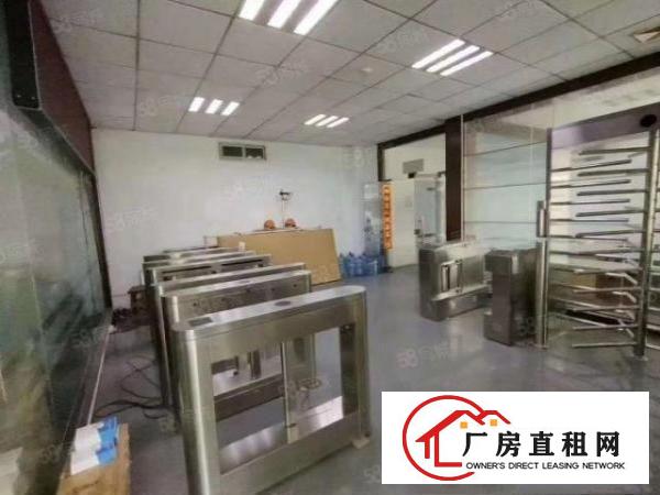  观澜章阁主干道旁新出精装修650平厂房出租零公摊
