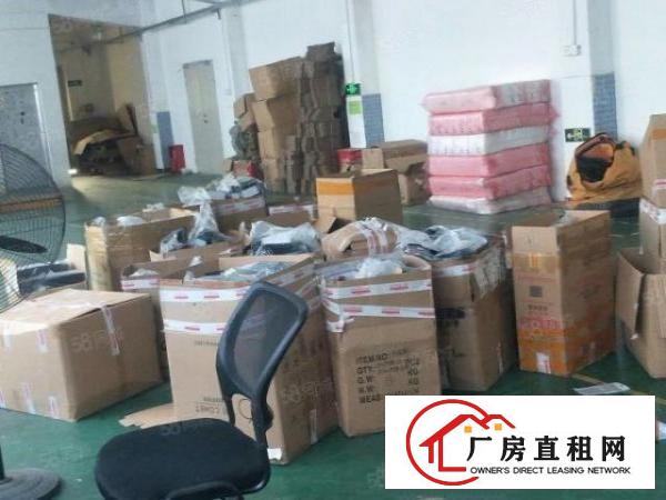  观澜福民新出带装修910平出租